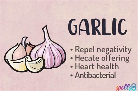 Unveiling the Wonders of Garlic: A Guide for Beginner Witches